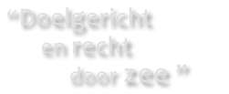 doelgericht en recht door zee