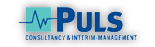 Puls Consultancy